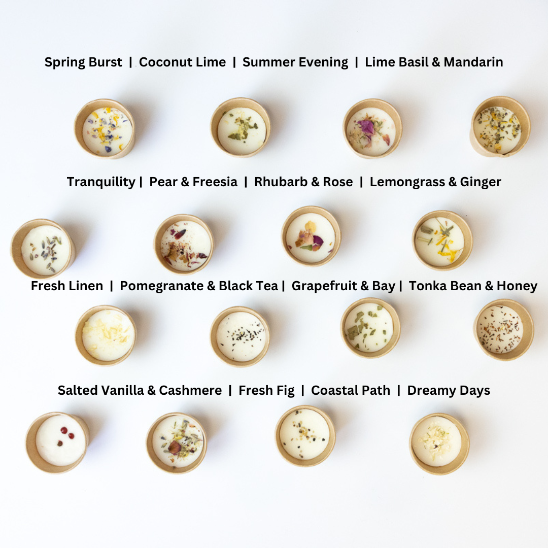 Created by Us, Chosen by You