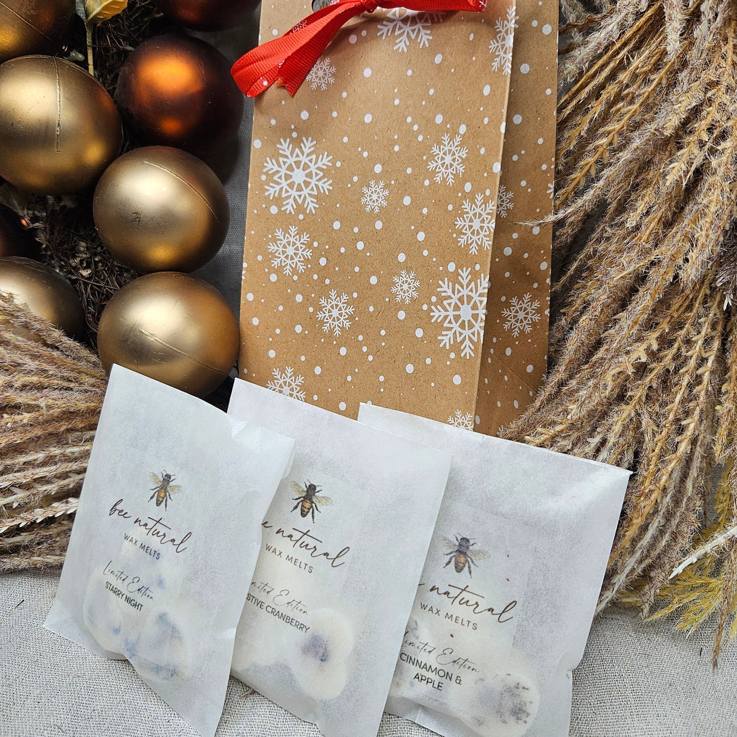 Christmas Gift Bag